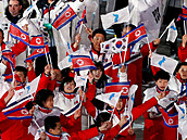 Pi zimních hrách 2018, nastoupily výpravy obou korejských zemí spolen.