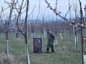 Pracovník v sadech u Buchlovic na Uherskohradisku hlídá ohe v sudu.