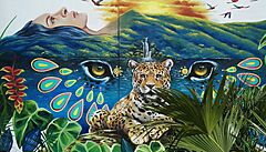 Peru má jedny z nejkrásn�j�ích pouli�ních nást�nných maleb, co jsem kdy vid�la....