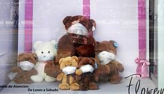 Výloha jedné z uzav�ených prodejen (kv�tiná�ství) v pr�b�hu první, sedmim�sí�ní...