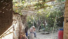 Vesnický dvorek za domem