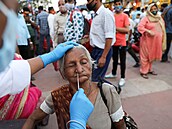 Zdravotní pracovníci pi pouti Kumbh Mela namátkov provádjí u vících testy...