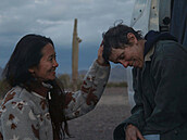 Ceny BAFTA za nejlepí film, hereku i reii získal dnes snímek Zem nomád....