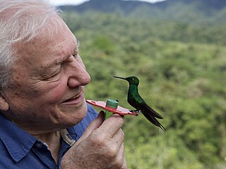 Dokumentrn seril ivot v barv s Davidem Attenboroughem.