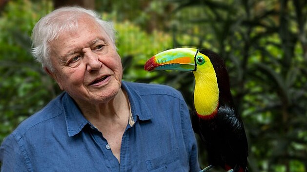 Dokumentární seriál Život v barvě s Davidem Attenboroughem.