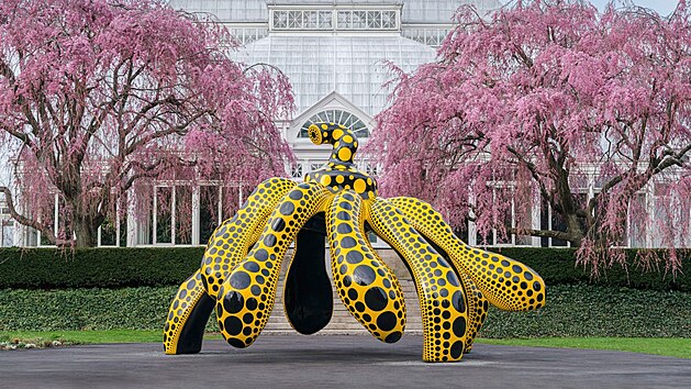 Slavná japonská výtvarnice Yayoi Kusama se rozhodla, e ji pandemie nezastaví a...