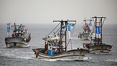 Japonská jaderná elektrárna Fuku�ima plánuje vypustit tuny kontaminované vody do oceánu.