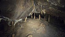 Jeskyňáři našli v Moravském krasu rozlehlý dóm, je plný krápníků.