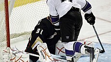Ane Kopitar dáva "forsbergovkou" branku.