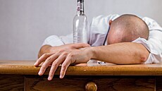 I velmi mrn pit alkoholu je kodliv pro mozek, tvrd britt vdci