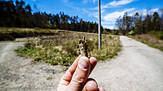 Vít�zslav Pivo�ka.