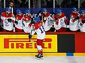 MS v hokeji, Rusko - esko: Jakub Flek pijímá gratulace od eské stídaky.