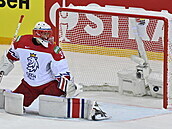 esko - výcarsko, MS v hokeji: branká R imon Hrubec dostává gól.