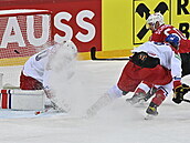 esko - výcarsko, MS v hokeji: Tristan Scherwey ze výcarska stílí gól, vlevo...
