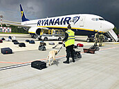 Bezpenostní kontrola letadla spolenosti Ryanair, které nouzov pistálo na...