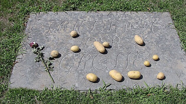 Fridrich II. má hrob v zámeckém parku v Postupimi, vždy jej zdobí trocha brambor