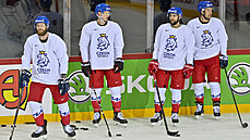 Trnink esk hokejov reprezentace na MS (Sek, Kubalk, Hanzl, Kov)