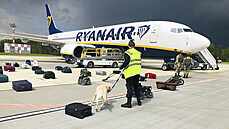 Bezpečnostní kontrola letadla společnosti Ryanair, které nouzově přistálo na... | na serveru Lidovky.cz | aktuální zprávy