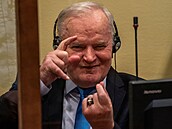 ‚Bosenský řezník‘ Mladić má doživotí za genocidu. Haagský tribunál definitivně potvrdil jeho trest