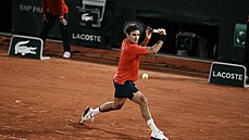 vcarsk tenista Roger Federer bhem zpasu s Nmcem Dominikem Koepferem....