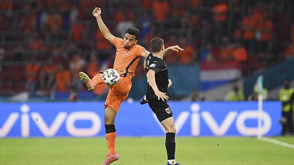 Fotbalové EURO - zápas mezi Nizozemskem a Rakouskem.