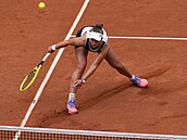 Finále dvouhry na tenisovém French Open v Paíi mezi ekou Barborou...