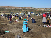 Na poli u vesnice v Jihoafrické republice zaali hledat diamanty lidé bez...