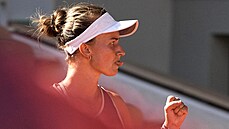 Barbora Krejíková v semifinále French Open.