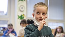 S průběhem testování dětem pomáhali učitelé. | na serveru Lidovky.cz | aktuální zprávy