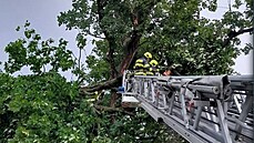 Hasiči kvůli bouřkám evidují v Olomouci už více než dvě desítky výjezdů....