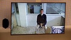 John McAfee vypovídá z vězení prostřednictvím videohovoru před španělským...