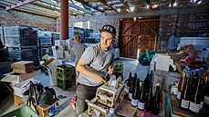 Tornádo napáchalo �kody na vinicích, úrod� i sklepech místních vina��.