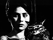 Snímek A pijde Kocour (1963).