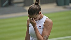 Finále Wimbledonu mezi Karolínou Plíškovou a Ashleigh Bartyovou.