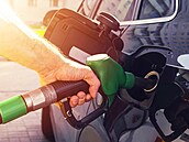 Ceny benzinu a nafty dál letí nahoru, zdražování skončí v polovině listopadu
