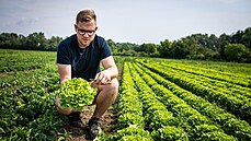 Zdraví ze záhonu. Matj Sklená na rodinné farm Rájeek, kde pstují zhruba 15...