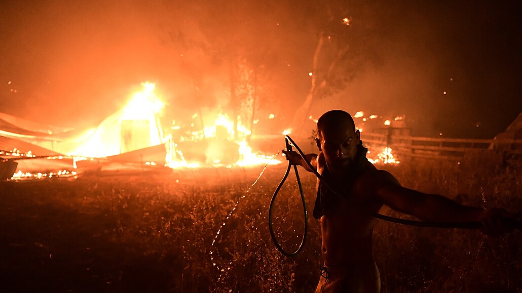 S požáry, které vypukly zhruba 20 kilometrů severně od Atén, bojovali hasiči...