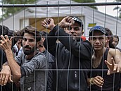 ‚Iráčané dobře vědí, že na ně nemáme jak zatlačit.‘ Komfortní migrační trasa z Bagdádu přes Minsk trápí EU