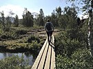 Cesta do Norska, na procházce v parku Abisko, který je u védsko-norských hranic
