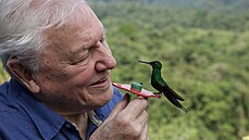 Planetu je třeba uzdravit. Jak vysvětluje sir David Attenborough ve své nové knize Život na naší planetě