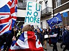 V ulicích Londýna se stetli píznivci i odprci Brexitu