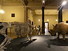Národní muzeum otevelo moderní pírodovdeckou expozici Zázraky evoluce