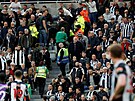 Newcastle - Tottenham: oivování fanouka v hlediti.