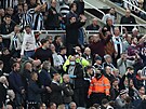 Newcastle - Tottenham: oivování fanouka v hlediti.
