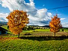 Na jihu ech se zaínají podzimn zabarvovat stromy