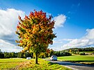Na jihu ech se zaínají podzimn zabarvovat stromy