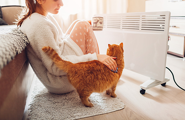 Růst cen nájmů se jen tak nezastaví. Pomoci by mohlo snížení úrokových sazeb