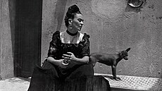 Frida Kahlo, Lola Álvarez Bravo, kolem roku 1944 | na serveru Lidovky.cz | aktuální zprávy