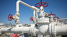 Dánsko povolilo obnovení prací na plynovodu Nord Stream 2