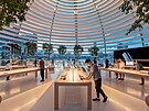 V Miami Apple vybudoval spolu s obchodem i místo k setkávání.